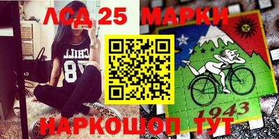 шишки Гусь-Хрустальный