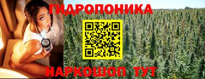 шишки Гусь-Хрустальный