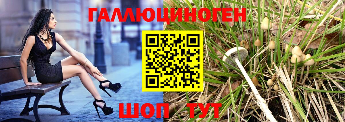 Галлюциногенные грибы Psilocybine cubensis Пугачёв