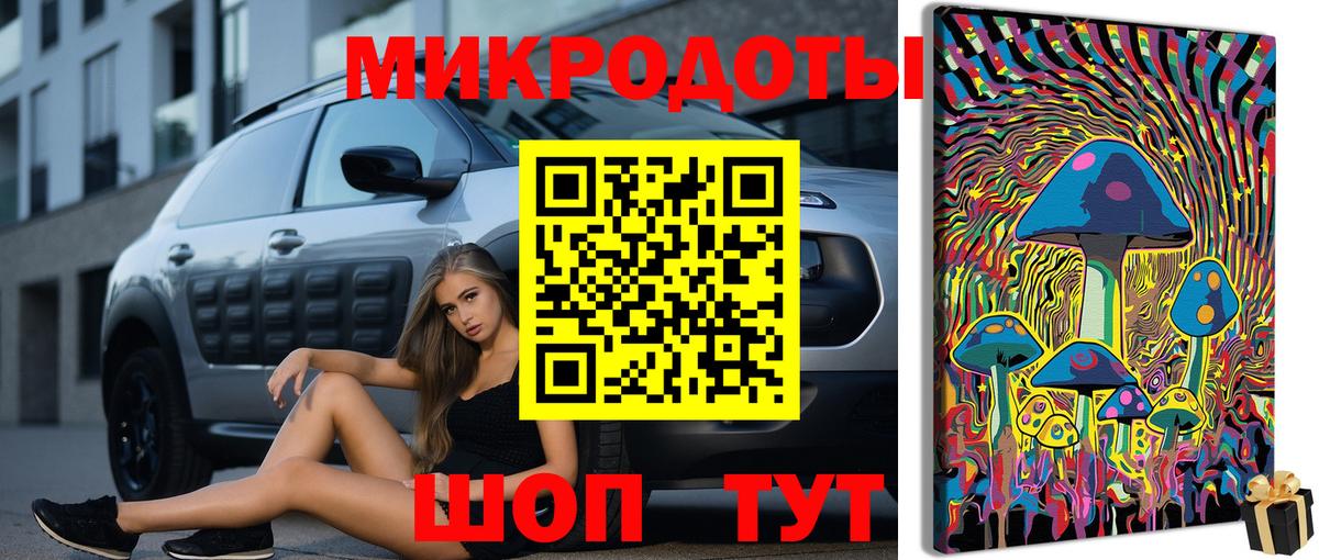 Пугачёв  Псилоцибиновые грибы Psilocybine cubensis  Вход с VPN 