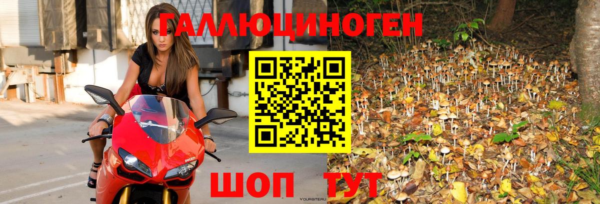 МАРИХУАНА  Вход с VPN  КОКАИН  Пугачёв  Вейп ТГК  ГАШИШ  Экстази  Мефедрон кристаллы  Кодеин 